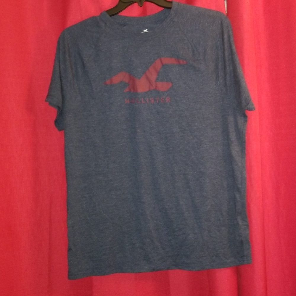 Hollister Stretch Graphic tee